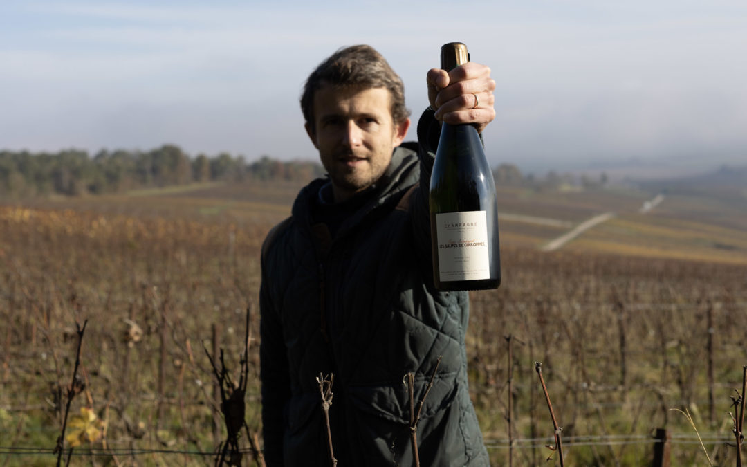 Perché comprare lo champagne di un vigneron? Superano le grandi marche di champagne?